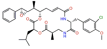 Cryptophycin 38